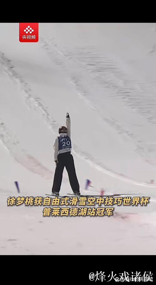自由式滑雪空中技巧世界杯普莱西德湖站：王心迪夺冠 徐梦桃摘银
